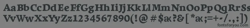 Czcionka LeksaproBlack – czarne czcionki na szarym tle