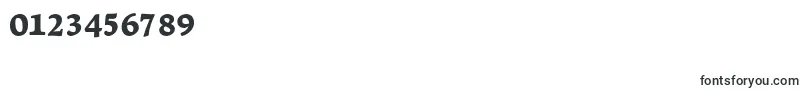 LeksaproBlack Font – Fonts for Numbers and Digits