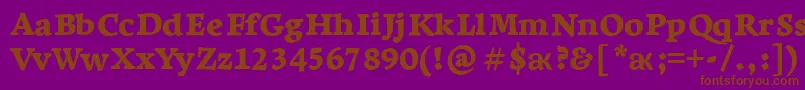 LeksaproBlack Font – Brown Fonts on Purple Background