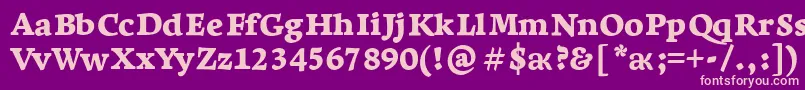 LeksaproBlack Font – Pink Fonts on Purple Background