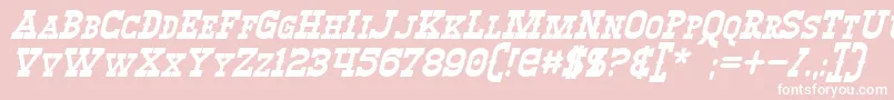 WinslettBoldItalic Font – White Fonts on Pink Background