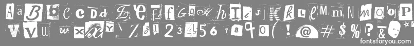 WoodcutterAnonymousPart2 Font – White Fonts on Gray Background