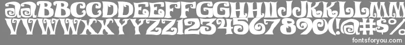 FestivalNightsJl Font – White Fonts on Gray Background