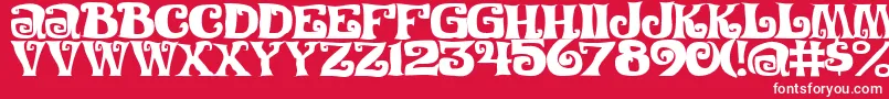 FestivalNightsJl Font – White Fonts on Red Background