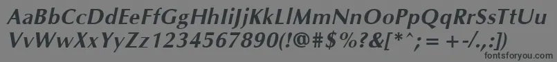 OklahomaBoldoblique Font – Black Fonts on Gray Background
