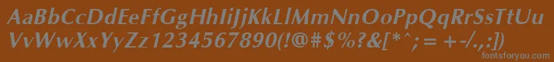 Police OklahomaBoldoblique – polices grises sur fond brun