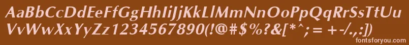 OklahomaBoldoblique Font – Pink Fonts on Brown Background