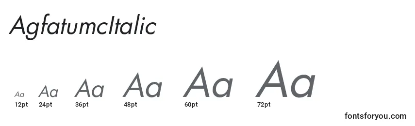 Размеры шрифта AgfatumcItalic