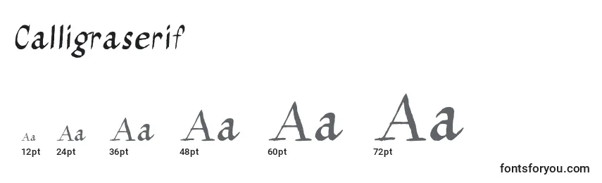 Размеры шрифта Calligraserif