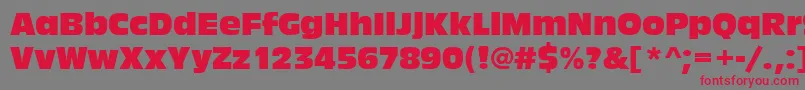 Antiqueolitcom Font – Red Fonts on Gray Background