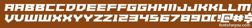 Paladinssemiital Font – White Fonts on Brown Background