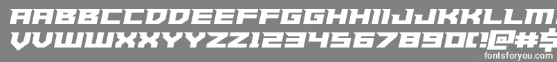 Paladinssemiital Font – White Fonts on Gray Background