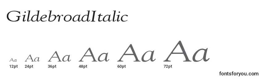 Размеры шрифта GildebroadItalic