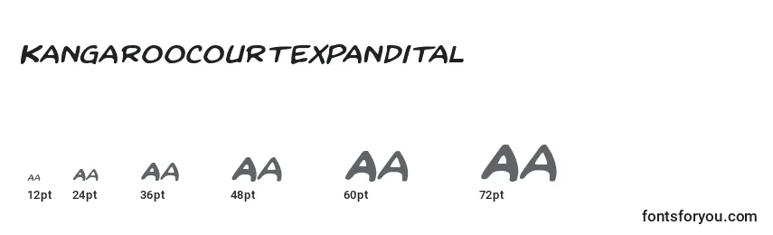 Размеры шрифта Kangaroocourtexpandital