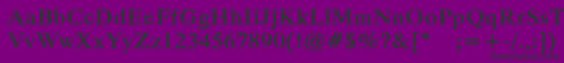 PfparagraphBold Font – Black Fonts on Purple Background