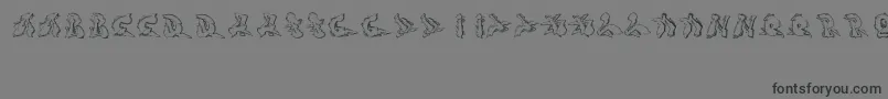 Шрифт Sotra – чёрные шрифты на сером фоне