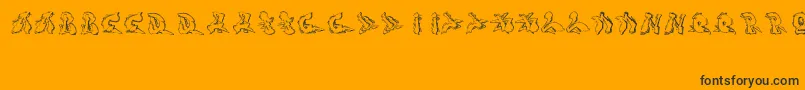 Шрифт Sotra – чёрные шрифты на оранжевом фоне