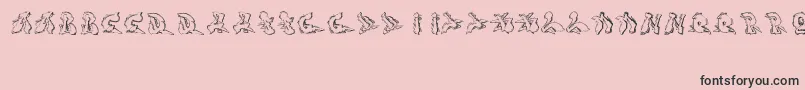 Sotra Font – Black Fonts on Pink Background