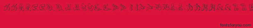 Sotra-Schriftart – Schwarze Schriften auf rotem Hintergrund