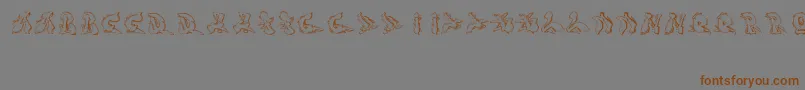 Шрифт Sotra – коричневые шрифты на сером фоне