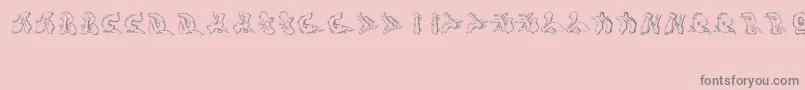 Sotra-Schriftart – Graue Schriften auf rosa Hintergrund