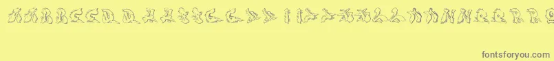 Sotra-Schriftart – Graue Schriften auf gelbem Hintergrund