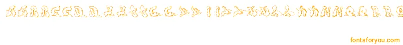 Sotra Font – Orange Fonts on White Background