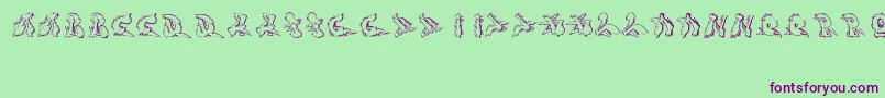 Sotra-fontti – violetit fontit vihreällä taustalla