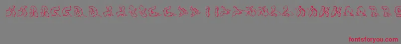 Sotra Font – Red Fonts on Gray Background
