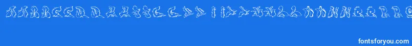 Sotra Font – White Fonts on Blue Background