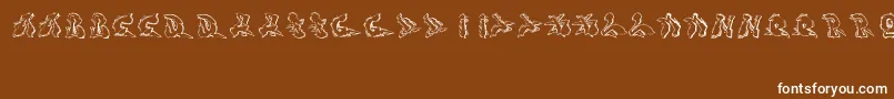 Шрифт Sotra – белые шрифты на коричневом фоне
