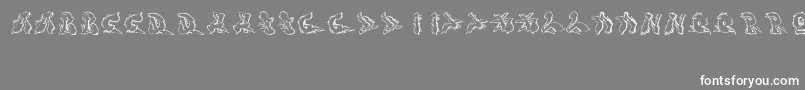 Шрифт Sotra – белые шрифты на сером фоне