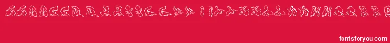 Шрифт Sotra – белые шрифты на красном фоне