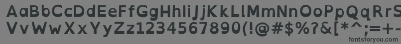 OpendyslexicaltaBold Font – Black Fonts on Gray Background