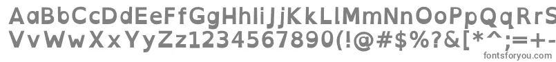 OpendyslexicaltaBold Font – Gray Fonts