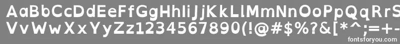 OpendyslexicaltaBold Font – White Fonts on Gray Background