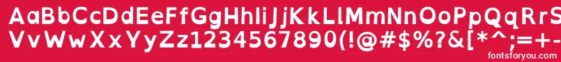 OpendyslexicaltaBold Font – White Fonts on Red Background