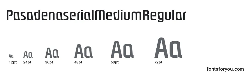 Размеры шрифта PasadenaserialMediumRegular
