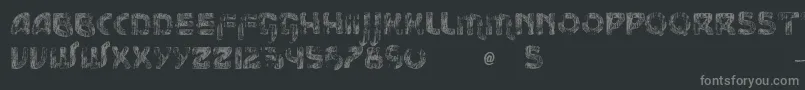 VtksMessageフォントについての詳細 フォントVtksMessage – 黒い背景に灰色の文字