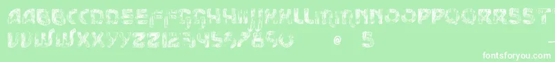 VtksMessage Font – White Fonts on Green Background