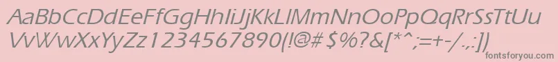 ErgoemildItalic Font – Gray Fonts on Pink Background