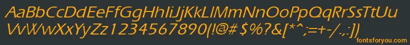 ErgoemildItalic Font – Orange Fonts on Black Background