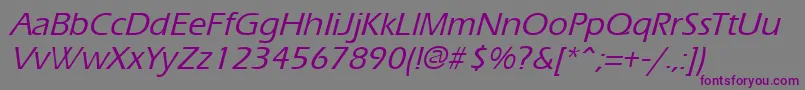 ErgoemildItalic Font – Purple Fonts on Gray Background