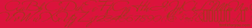 MonikaItalic Font – Brown Fonts on Red Background