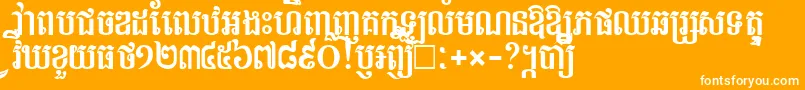 フォントTapromNew – オレンジの背景に白い文字