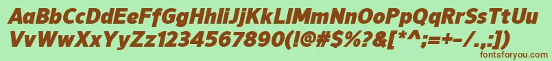 NuorderBlackitalic Font – Brown Fonts on Green Background