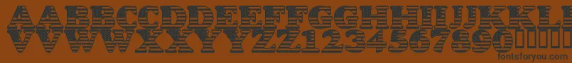LmsStarSpangled Font – Black Fonts on Brown Background