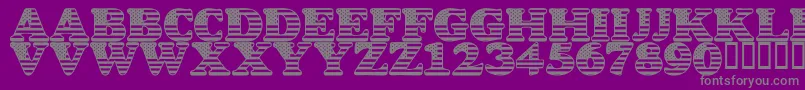 fuente LmsStarSpangled – Fuentes Grises Sobre Fondo Morado
