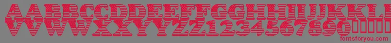 Czcionka LmsStarSpangled – czerwone czcionki na szarym tle