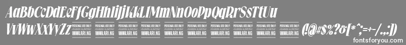 Falkinserifbolditalicpersonal Font – White Fonts on Gray Background